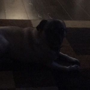 Meet your Posher, Alberta